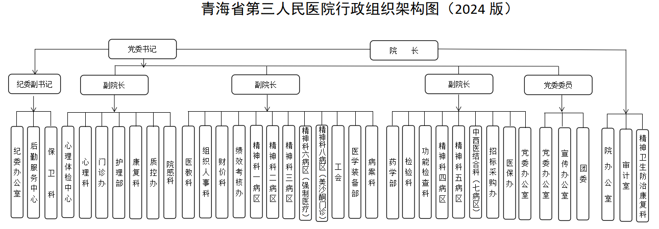 醫(yī)院組織架構(gòu)圖.png